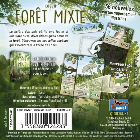 FORÊT MIXTE : LISIERE DE FORET (EXT)