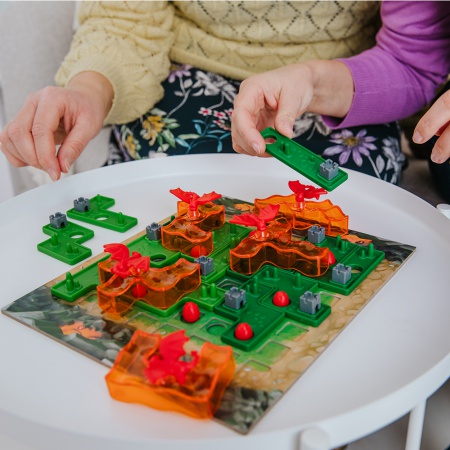 LES DRAGONS 100 FLAMMES