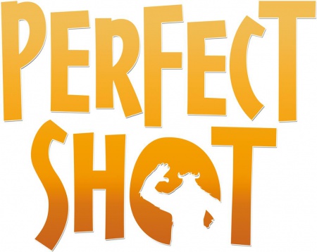 PERFECT SHOT