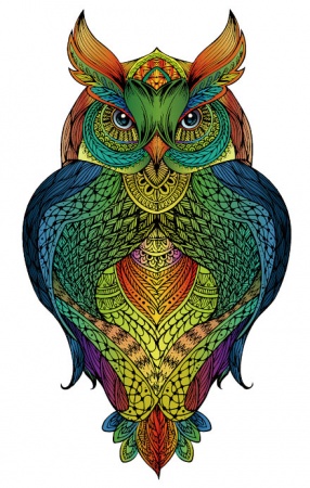 RAINBOW WOODEN PUZZLE HIBOU 137 PCS