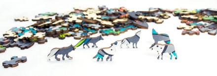 RAINBOW WOODEN PUZZLE LOUP 180 PCS
