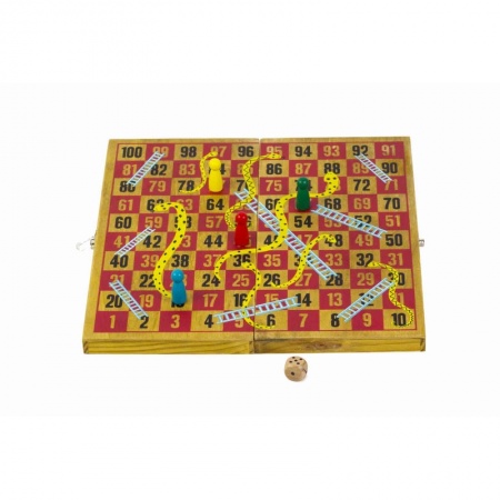 SNAKES & LADDER