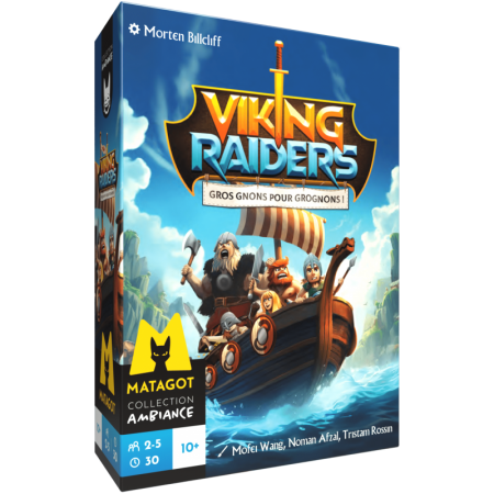 VIKING RAIDERS